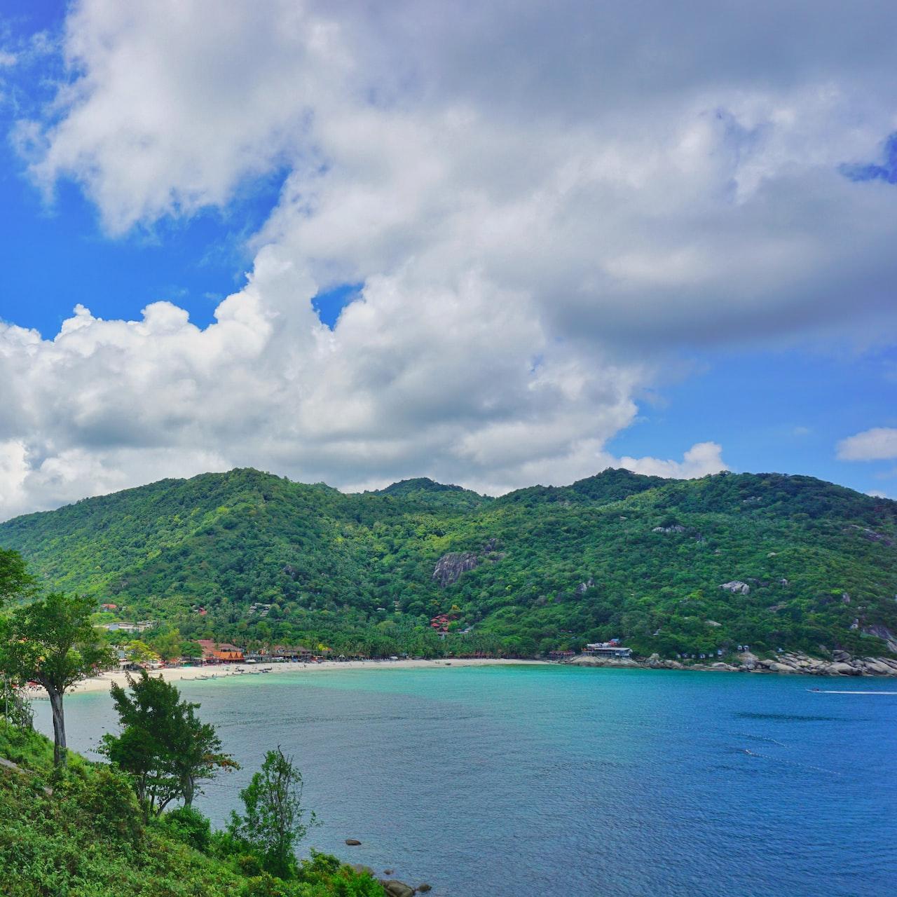green trees near body of water under blue sky and white clouds during daytime